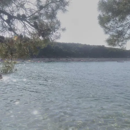 Adrian I David * Primošten