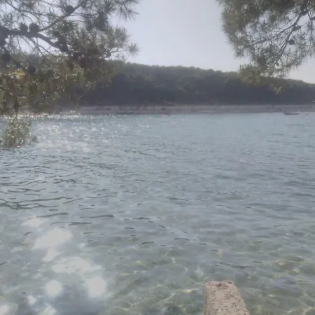 Adrian I David Primošten