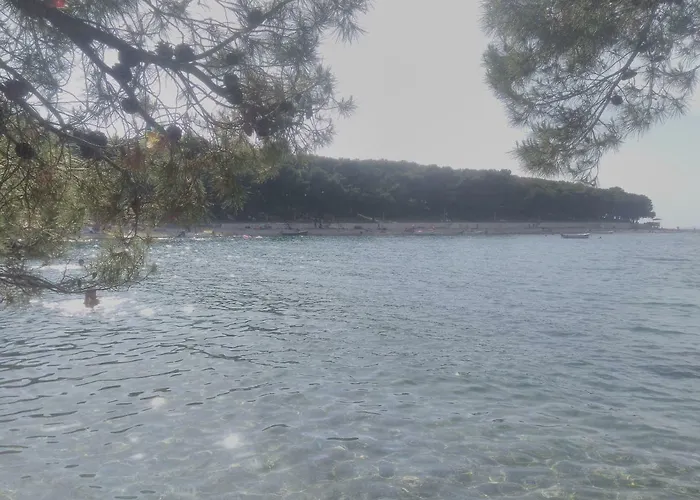 Adrian I David * Primošten