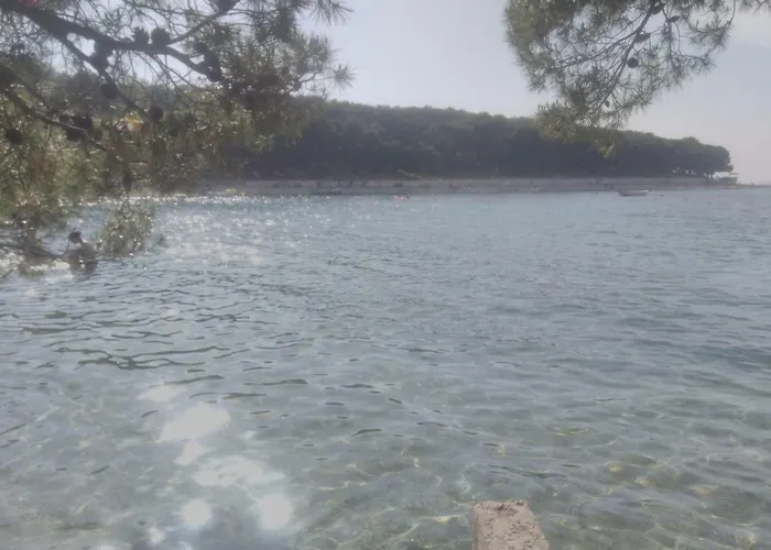 Adrian I David Primošten