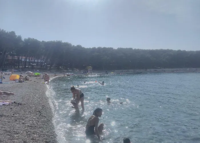 Adrian I David Apartman Primosten