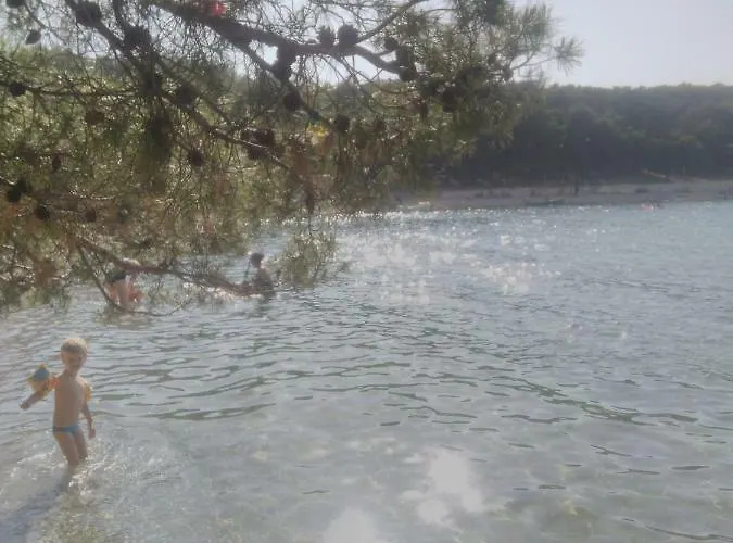 Adrian I David * Primošten